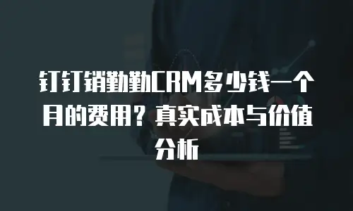 钉钉销勤勤CRM多少钱一个月的费用？真实成本与价值分析