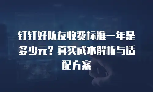 钉钉好队友收费标准一年是多少元？真实成本解析与适配方案