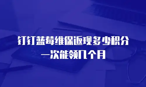 钉钉蓝莓维保返现多少积分一次能领几个月
