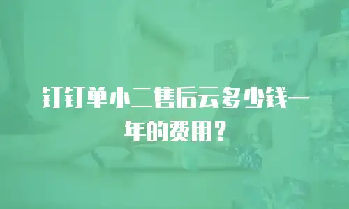钉钉单小二售后云多少钱一年的费用？