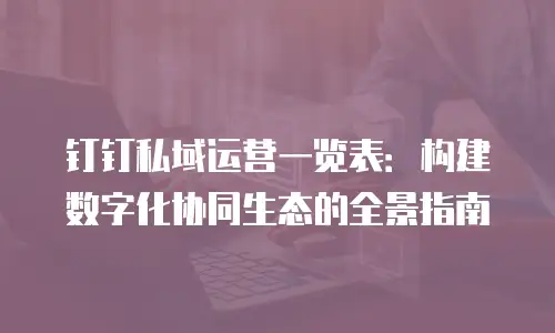 钉钉私域运营一览表：构建数字化协同生态的全景指南