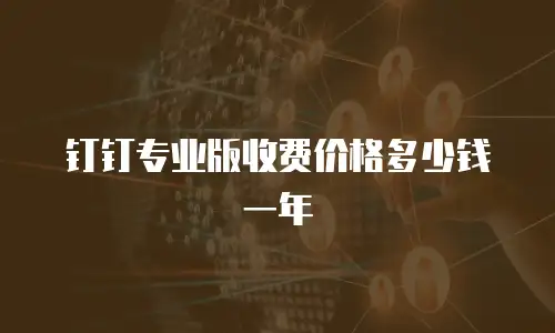钉钉专业版收费价格多少钱一年