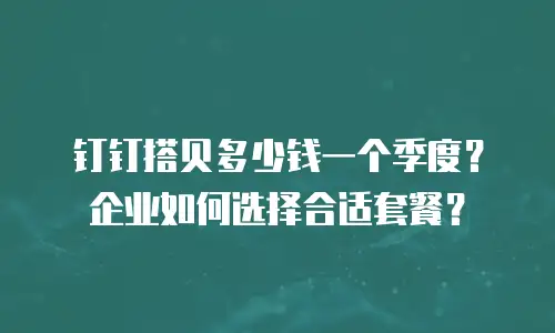 钉钉搭贝多少钱一个季度？企业如何选择合适套餐？