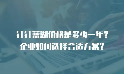 钉钉蓝湖价格是多少一年？企业如何选择合适方案？