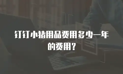 钉钉小猪用品费用多少一年的费用？