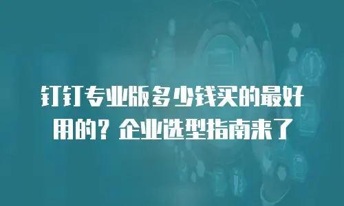 钉钉专业版多少钱买的最好用的？企业选型指南来了