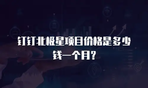 钉钉北极星项目价格是多少钱一个月？