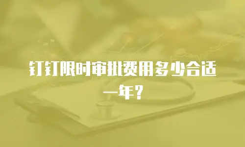 钉钉限时审批费用多少合适一年？