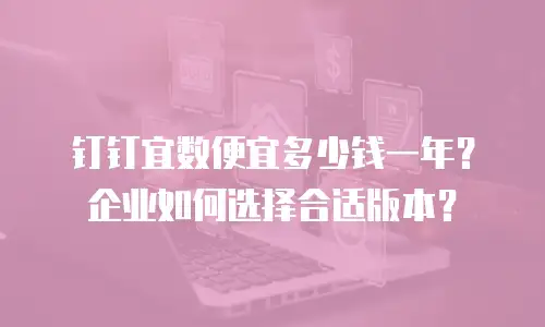 钉钉宜数便宜多少钱一年？企业如何选择合适版本？
