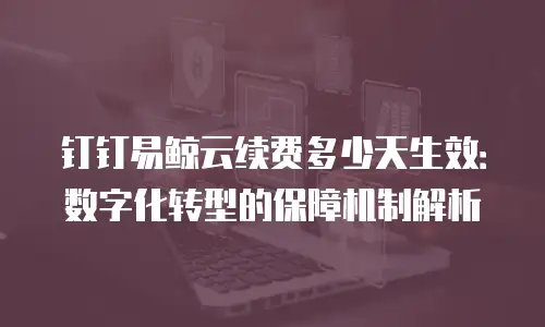 钉钉易鲸云续费多少天生效：数字化转型的保障机制解析