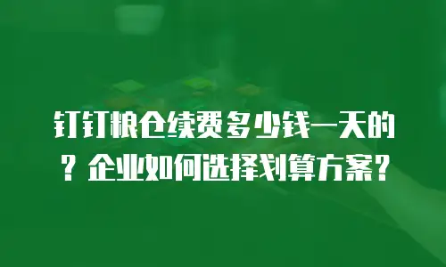 钉钉粮仓续费多少钱一天的？企业如何选择划算方案？