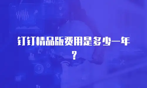 钉钉精品版费用是多少一年？