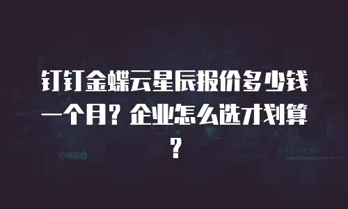 钉钉金蝶云星辰报价多少钱一个月？企业怎么选才划算？