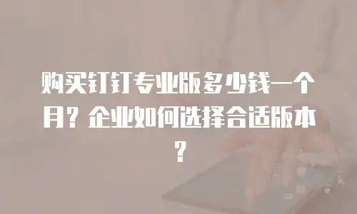 购买钉钉专业版多少钱一个月？企业如何选择合适版本？
