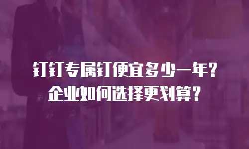 钉钉专属钉便宜多少一年？企业如何选择更划算？