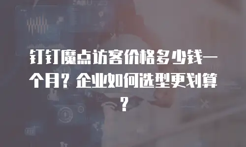 钉钉魔点访客价格多少钱一个月？企业如何选型更划算？