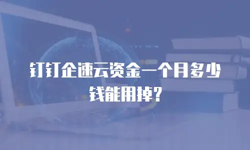 钉钉企速云资金一个月多少钱能用掉？