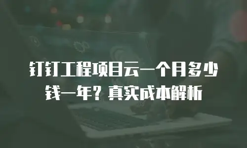 钉钉工程项目云一个月多少钱一年？真实成本解析