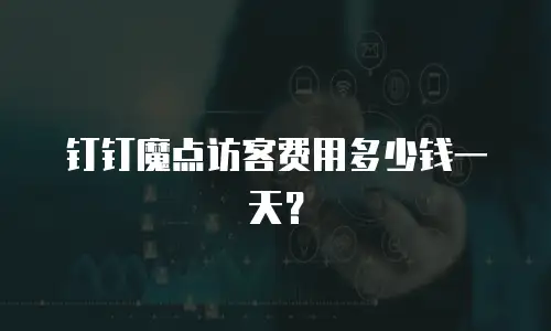 钉钉魔点访客费用多少钱一天？
