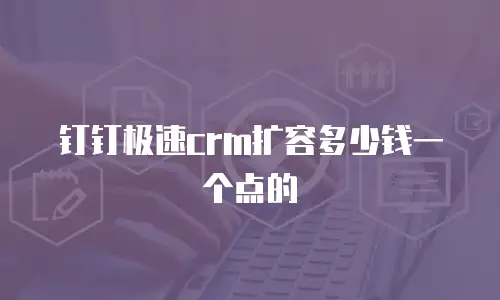 钉钉极速crm扩容多少钱一个点的
