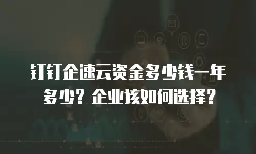 钉钉企速云资金多少钱一年多少？企业该如何选择？