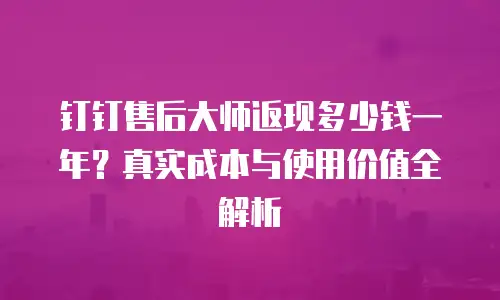 钉钉售后大师返现多少钱一年？真实成本与使用价值全解析