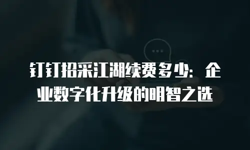钉钉招采江湖续费多少：企业数字化升级的明智之选