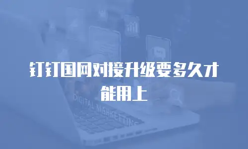钉钉国网对接升级要多久才能用上