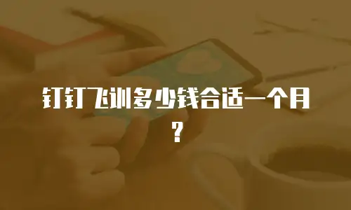 钉钉飞训多少钱合适一个月？