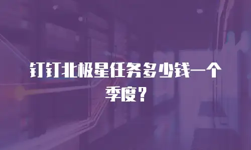 钉钉北极星任务多少钱一个季度？