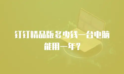 钉钉精品版多少钱一台电脑能用一年？