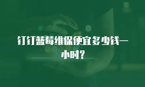 钉钉蓝莓维保便宜多少钱一小时？