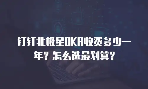 钉钉北极星OKR收费多少一年？怎么选最划算？