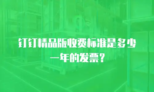 钉钉精品版收费标准是多少一年的发票？