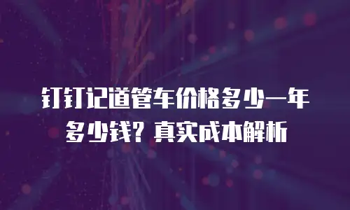 钉钉记道管车价格多少一年多少钱？真实成本解析