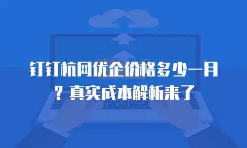 钉钉杭网优企价格多少一月？真实成本解析来了