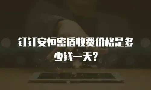 钉钉安恒密盾收费价格是多少钱一天？