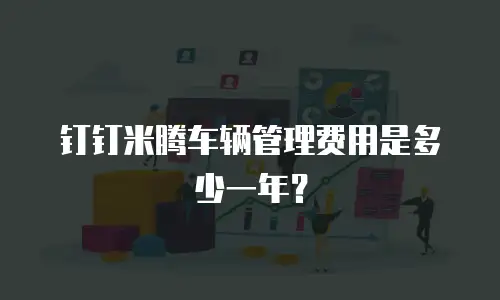 钉钉米腾车辆管理费用是多少一年？