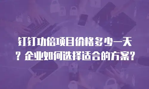 钉钉功倍项目价格多少一天？企业如何选择适合的方案？