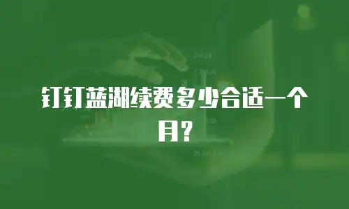 钉钉蓝湖续费多少合适一个月？