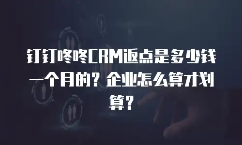 钉钉咚咚CRM返点是多少钱一个月的？企业怎么算才划算？