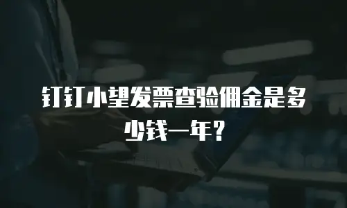 钉钉小望发票查验佣金是多少钱一年？
