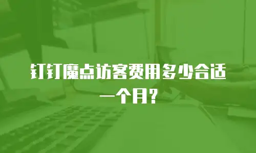 钉钉魔点访客费用多少合适一个月？