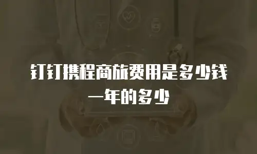 钉钉携程商旅费用是多少钱一年的多少