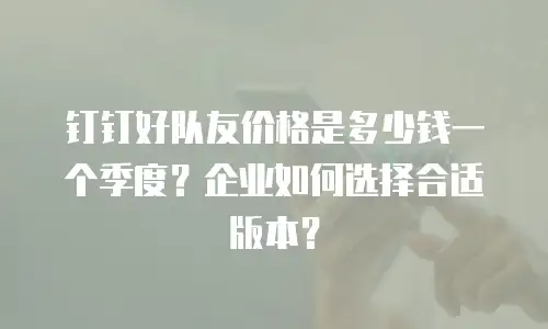 钉钉好队友价格是多少钱一个季度？企业如何选择合适版本？