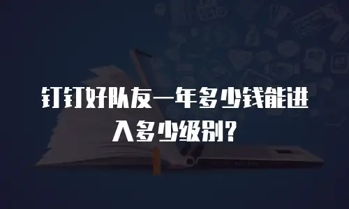 钉钉好队友一年多少钱能进入多少级别？