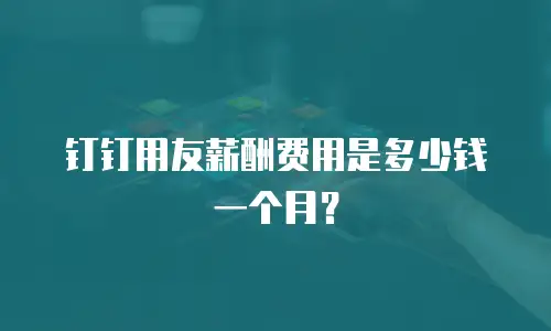 钉钉用友薪酬费用是多少钱一个月？