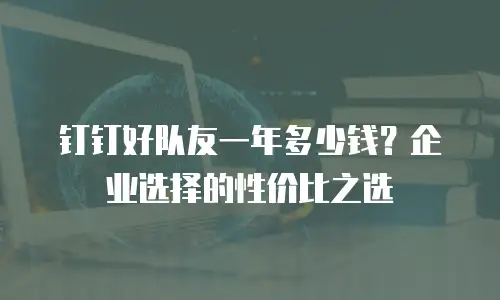 钉钉好队友一年多少钱？企业选择的性价比之选