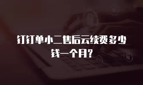 钉钉单小二售后云续费多少钱一个月？