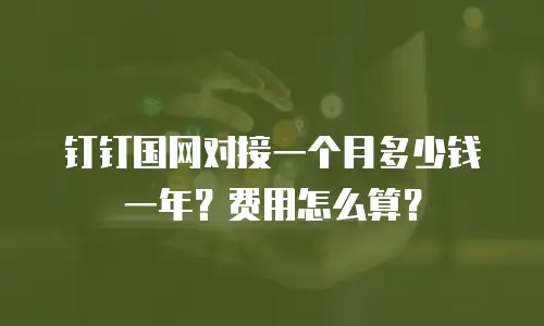 钉钉国网对接一个月多少钱一年？费用怎么算？
